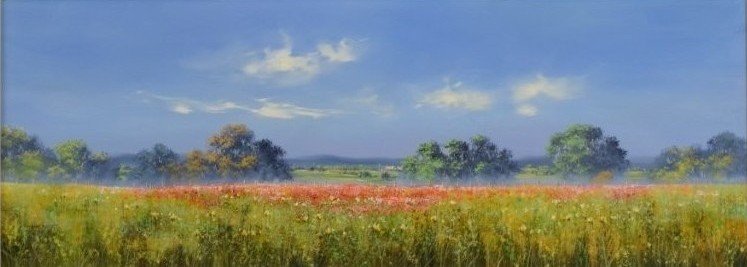 Field Of Flowers Allan Morgan - Original Painting