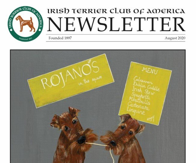 Irish terrier News
