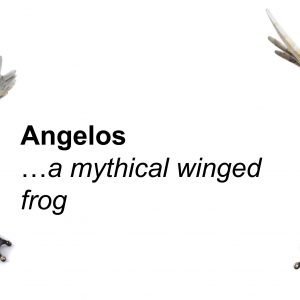 angelos winged frog sculpture